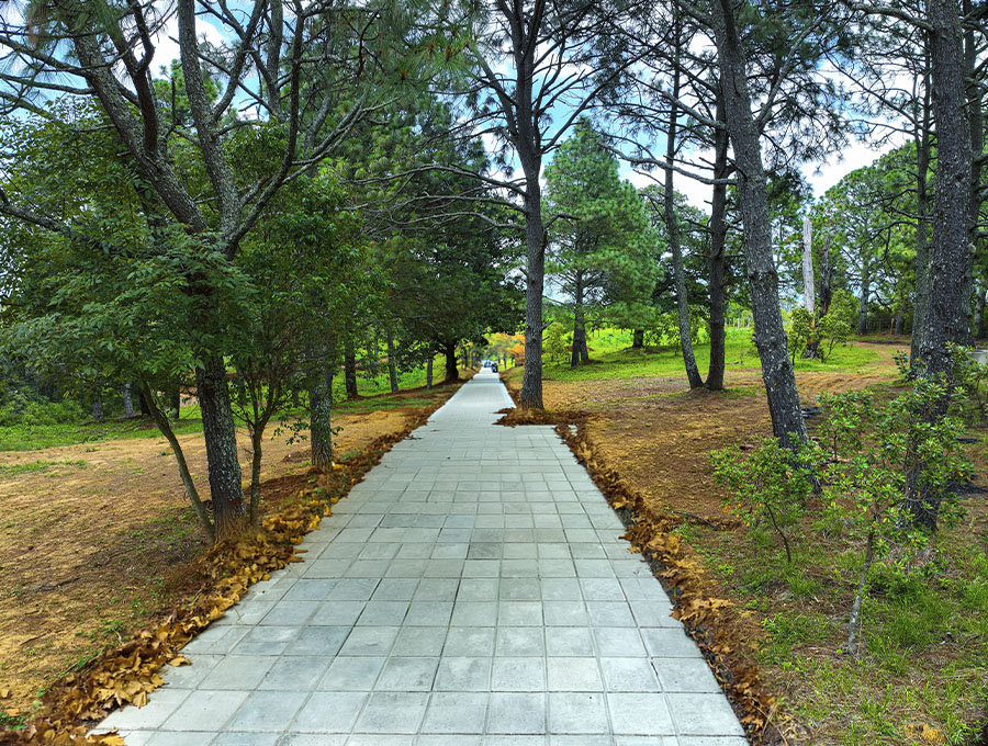 Imagen de galeria